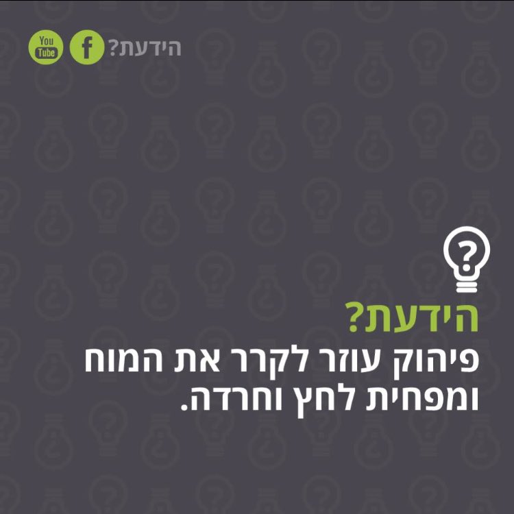 hayadata1 tweet picture