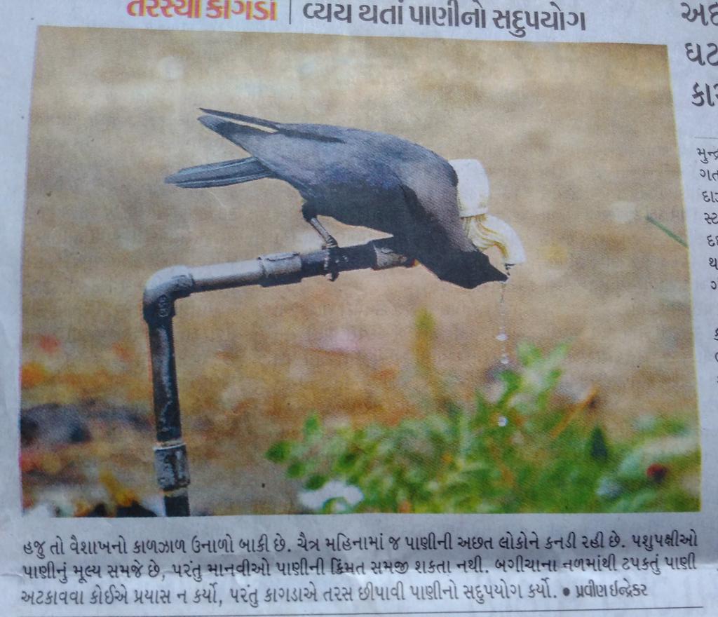 chaljaajuthee's tweet photo. We can learn from them..  He cannot speak but this pic say a lot #savewater #SaveWaterSaveLife https://t.co/ff8jM1tFL2