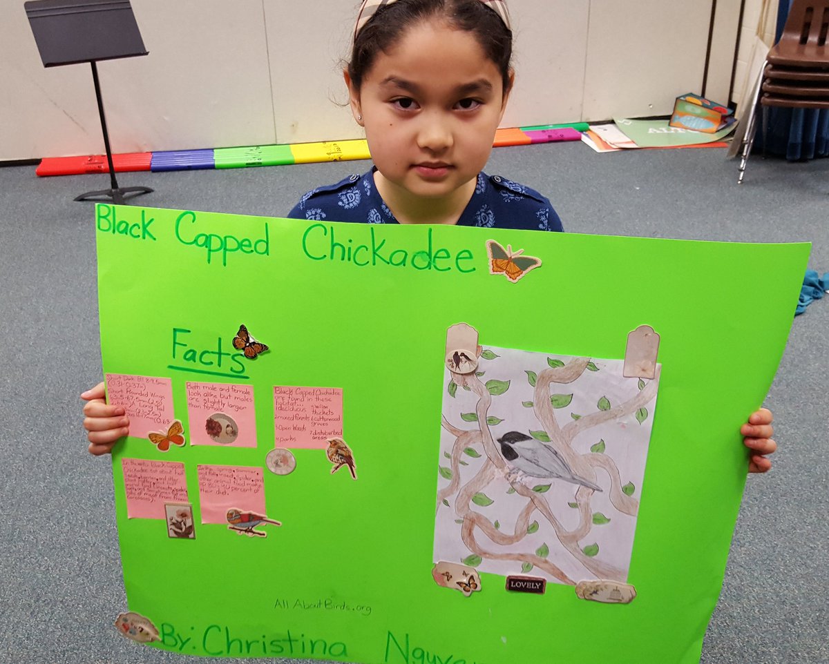 VRESMusic's tweet photo. 3rd grade bird projects in music class. Research a bird and play a song on the recorder. https://t.co/WpcxQGaSAU