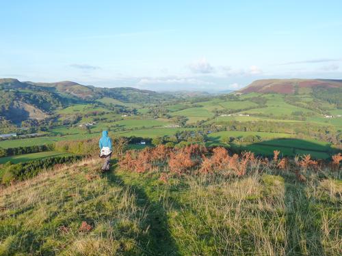 Beautiful Barn in Heart of Wales, arrive Friday 29th, 3 nights £240!  stayinwales.co.uk/detail.cfm?i=8… #bankholidayweekend