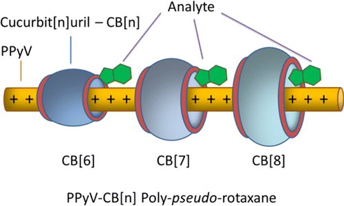 Threading the needle: Size-exclusion sensing <a href="/MIT/">Massachusetts Institute of Technology (MIT)</a> <a href="/MITEngineering/">MIT School of Engineering</a> <a href="/TCD_Chemistry/">TCD School of Chemistry</a> pubs.acs.org/doi/abs/10.102…