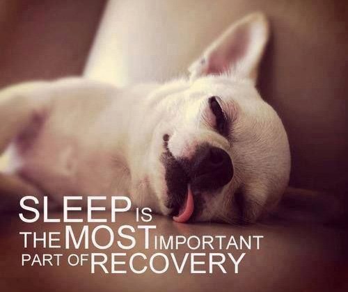 BestMorningEver's tweet photo. Sleep is the most important part of recovery. #WednesdayWisdom #fitness #sleephealth https://t.co/z53Jmq49ow
