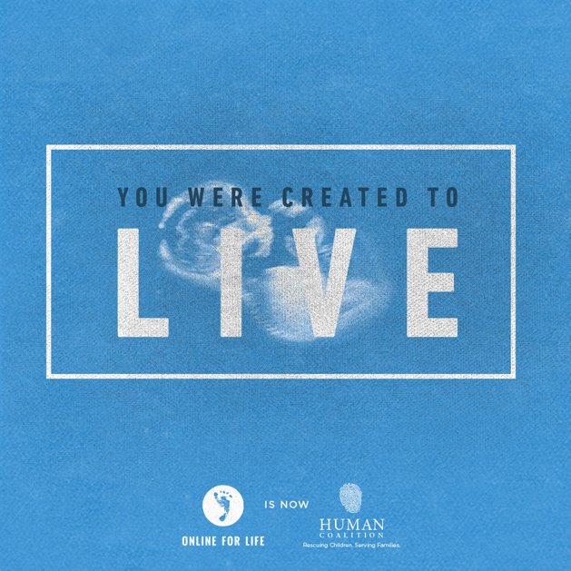 HumanCoalition's tweet photo. You were created not to be terminated, but to LIVE! #PreBorn #ProLife https://t.co/I2vGiln9X5
