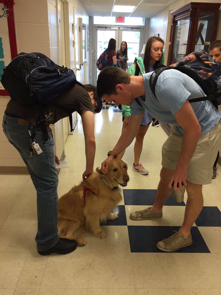 kennyjr_edward's tweet photo. Pet Therapy Day in the School of Nursing at MC! We ❤️ Lucy! #mcson #pets #mississippicollege https://t.co/2UDAsVbxQv