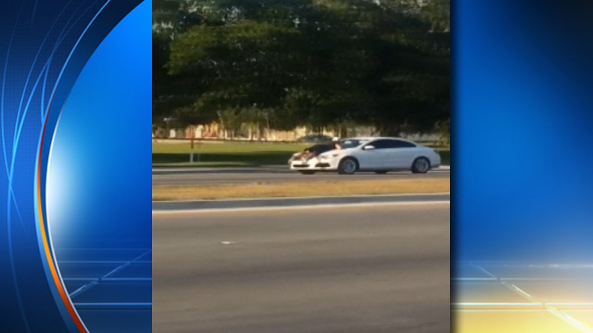 Wild Kendall road rage incident caught on video WATCH HERE bit.ly/1T4OlrN?utm_me… https://t.co/Us2jzzVuPu
