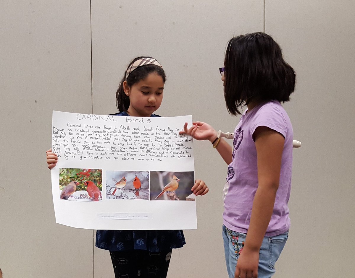 VRESMusic's tweet photo. 3rd grade bird projects. Research a bird and play its song on recorder. https://t.co/FYuJnkLxeT