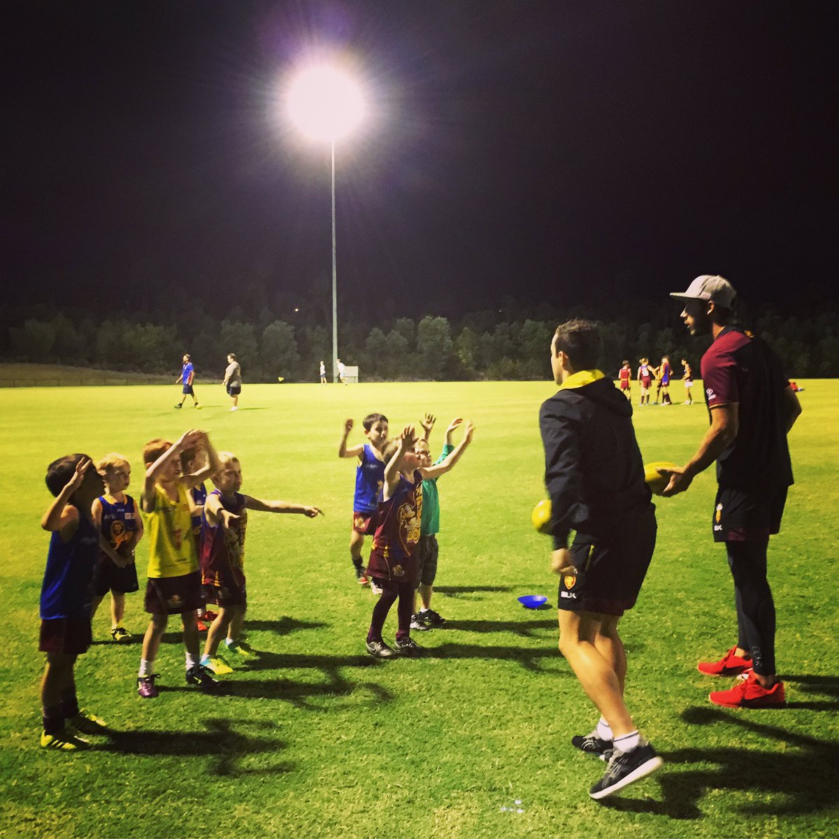 Moreton Bay Lions tweet media