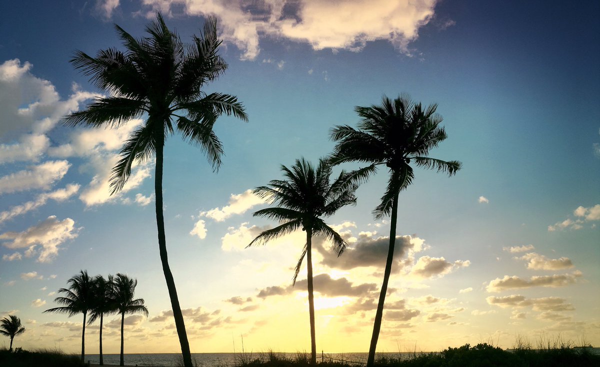 FtLauderdaleSun's tweet photo. Lemon bright. https://t.co/EOMxc78Ppk