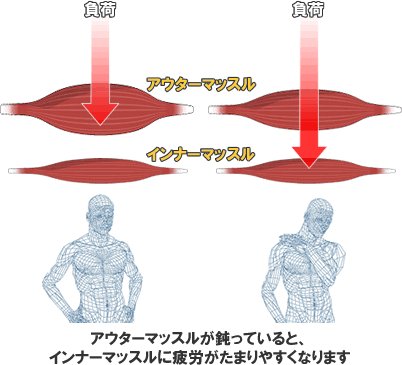 筋トレ肉体改造計画 (@kintore_nikutai) / Posts / X