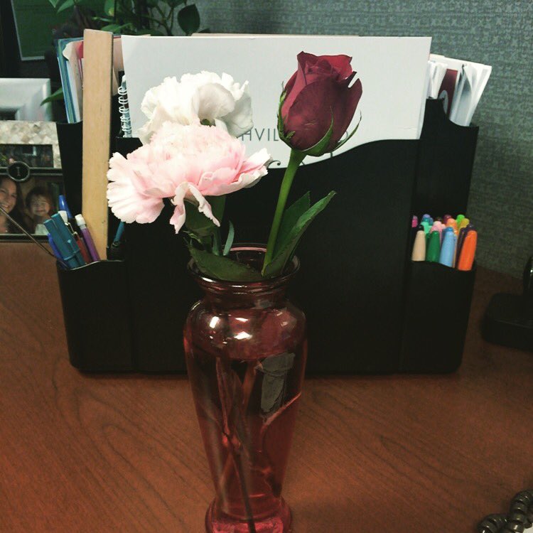 tntracy's tweet photo. Happy admin day!  @SitelNACares #whysitel https://t.co/6EG3Myha5q