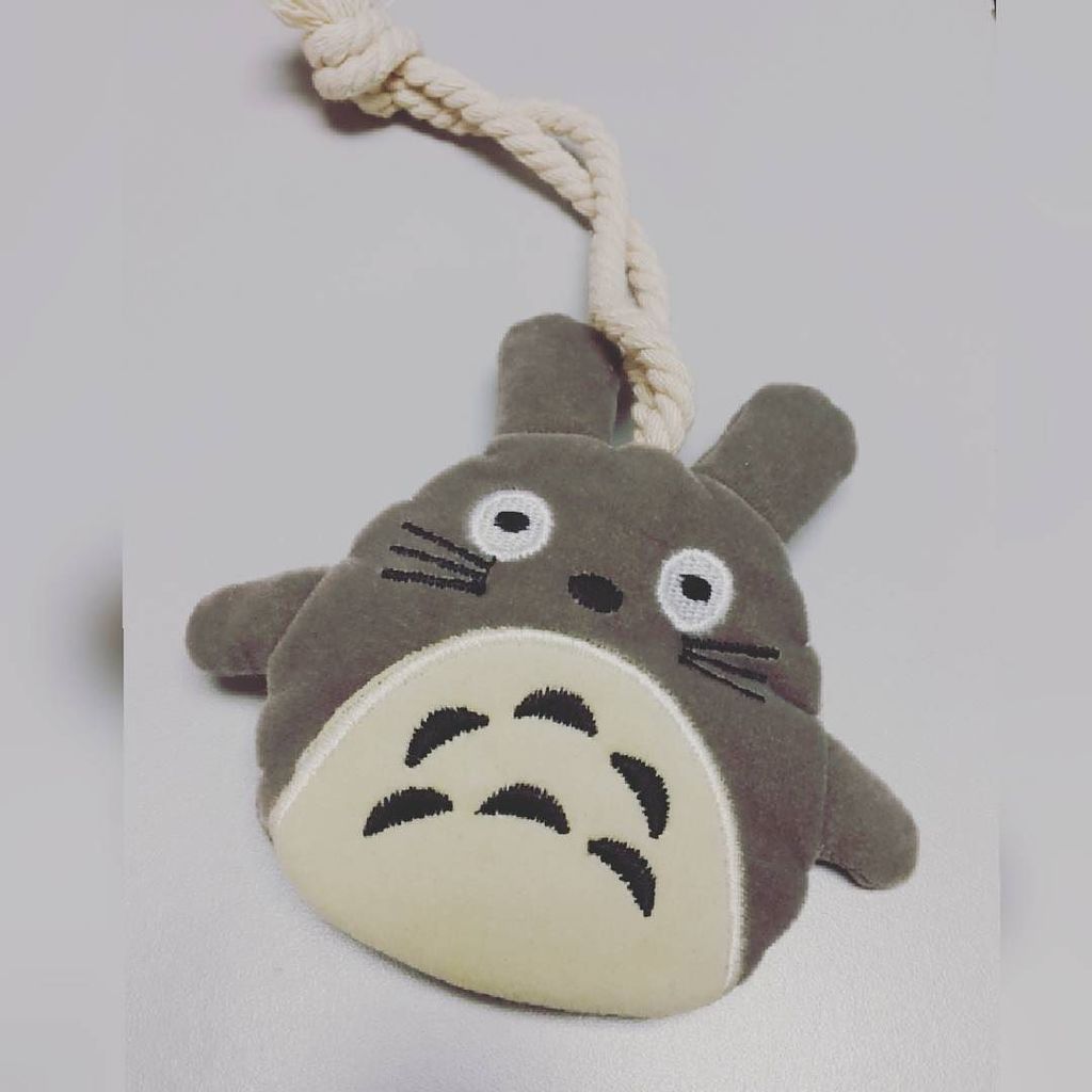 totorothings's tweet image. vic_vickie: Thanks baby for the lovely present~ 😘😘😘 it's random but I feel touch 😁😁 @nini_33ni #totoro #keypouch #r…