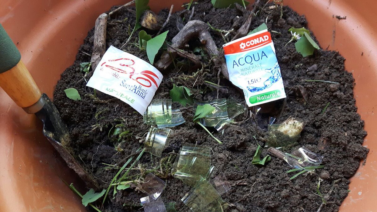 fedecoraglia's tweet photo. The compost has started! Let's see how much time it takes to decompose plastic! #WBT2016 https://t.co/NKJq6hjp0f