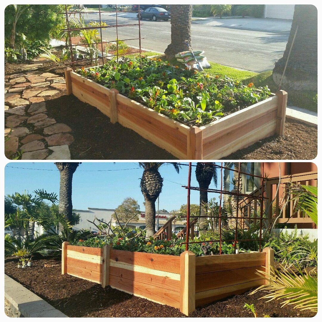 califarmer_andy's tweet photo. New #gardens #installation #home #eatfresh #losangeles #southbay #longbeach #custombuilt https://t.co/TePQiLtFpk