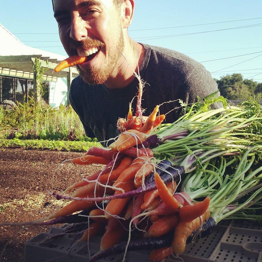 groundfloorfarm's tweet photo. What's up, doc? #looney #urbanfarm #wednesdaymarket #livelocallovelocal https://t.co/QCBqr83997
