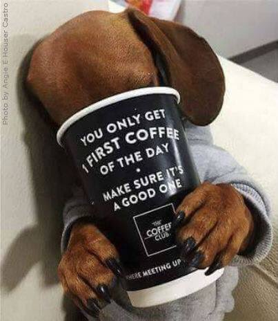 Mira, <a href="/RECORDARTECAFE/">RECORDARTECAFE</a>. Solamente hay un primer café del día.