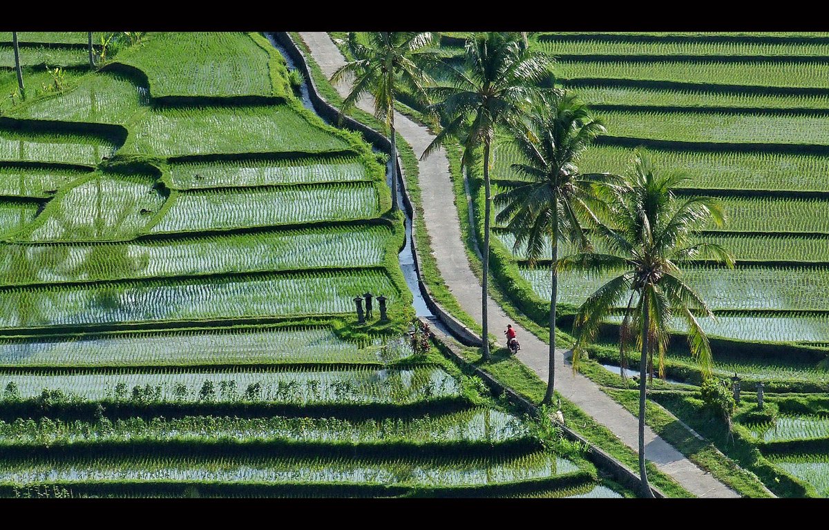 Uzakdoğunun esrarengiz havasını Bali'de yakalayın. Her gün hareketli kişiye özel bali turları sizleri bekliyor.#bali