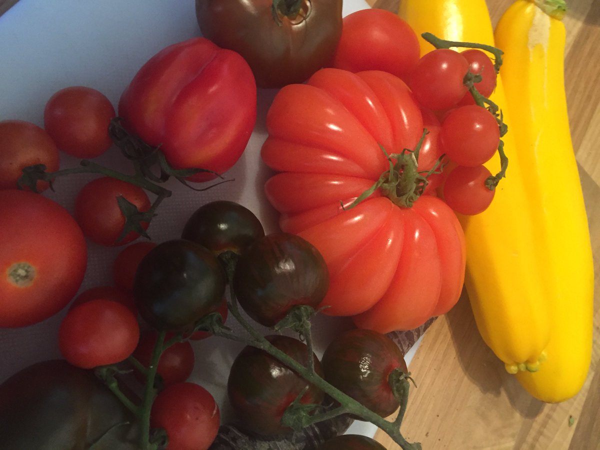 ConaghanJoseph's tweet photo. Lunch ingredients 
To be taken before a long journey. 
Almost too unusual a shape tomato to cut up and serve though. https://t.co/hS95TVtxY9