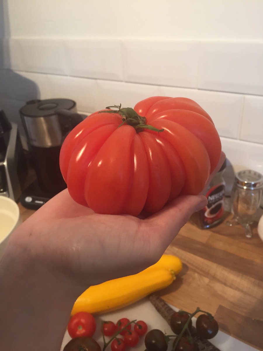 ConaghanJoseph's tweet photo. Lunch ingredients 
To be taken before a long journey. 
Almost too unusual a shape tomato to cut up and serve though. https://t.co/hS95TVtxY9