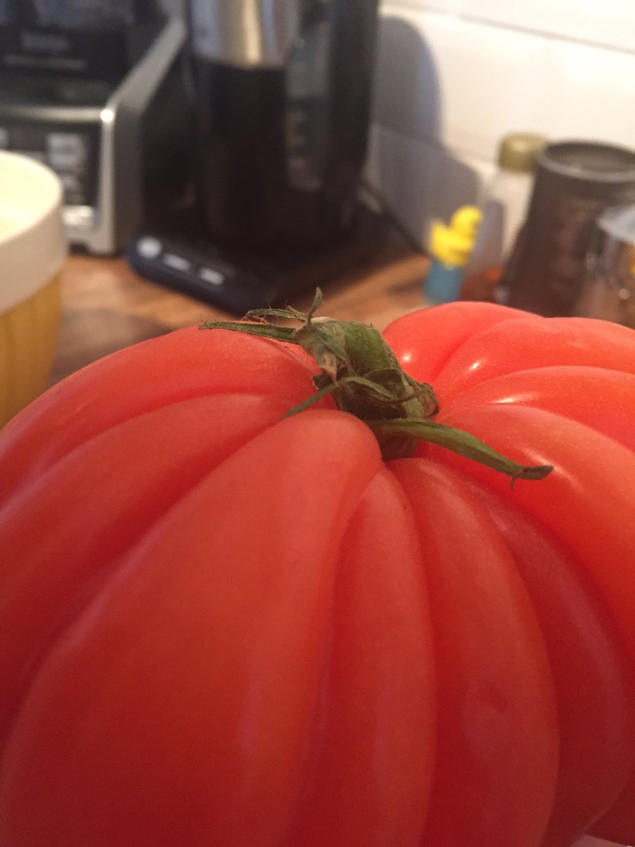 ConaghanJoseph's tweet photo. Lunch ingredients 
To be taken before a long journey. 
Almost too unusual a shape tomato to cut up and serve though. https://t.co/hS95TVtxY9