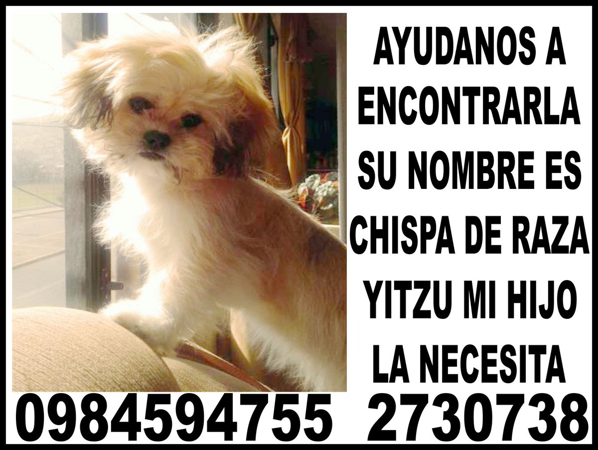 Publicosconta's tweet photo. @AlejaDuqueR UNA PERSONA DISCAPACITADA LA NECESITA AYUDANOS A ENCONTRARLA https://t.co/HYblrceEd1