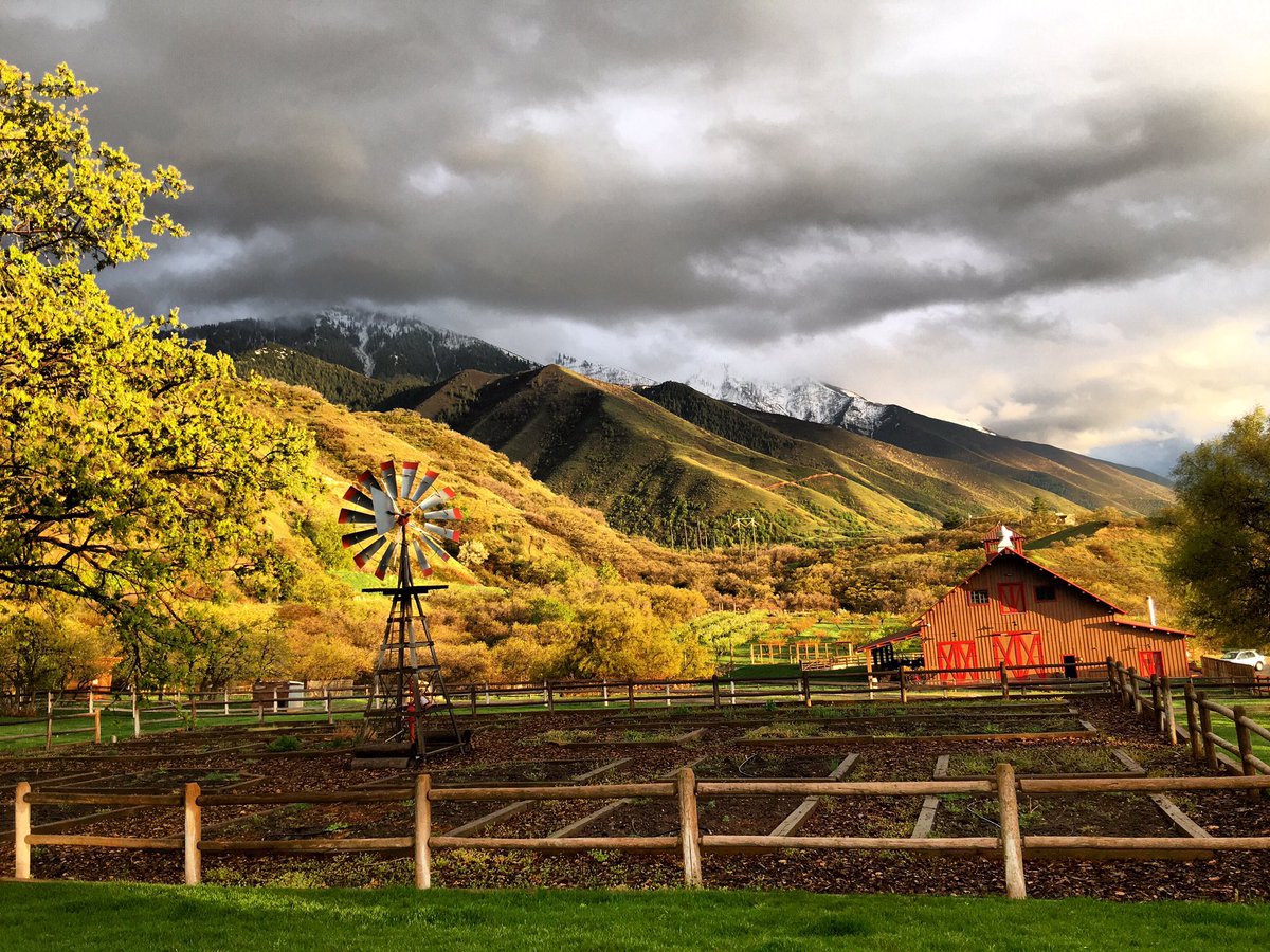 Quiet Meadow Farm (quietneadowfarm) Twitter