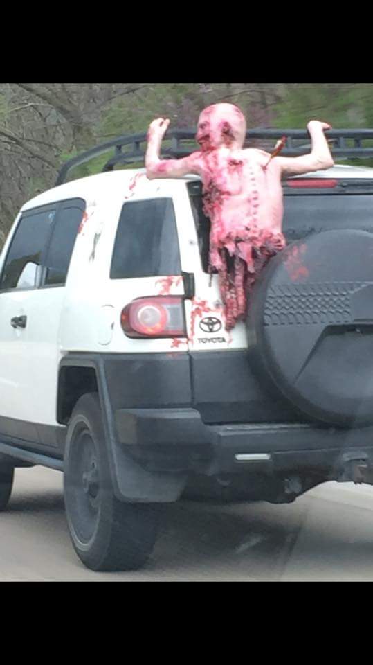 VirginiaZORT's tweet photo. We need these!
#zombiecar #walkers #twd #Toyota #fjcruiser https://t.co/q82Dy64XG2