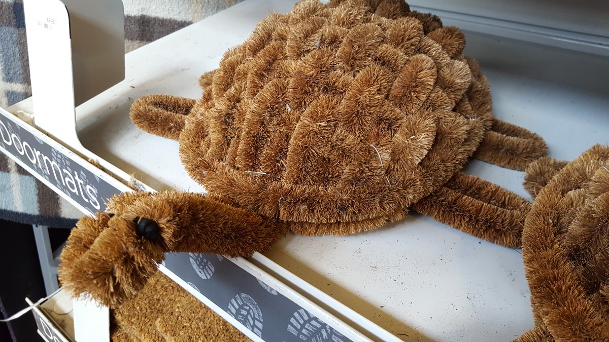 chessingtongc's tweet image. Clean your muddy boots with this delightful #tortoise boot scraper! #funandfunctional