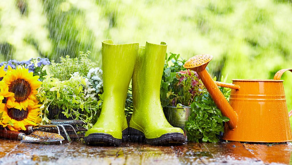 esweedcontrol's tweet image. RT @OrganicLifeMag "The incredible way your plants clean up water pollution:  https://t.co/QrybkYjFpU" ow.ly/4narCm