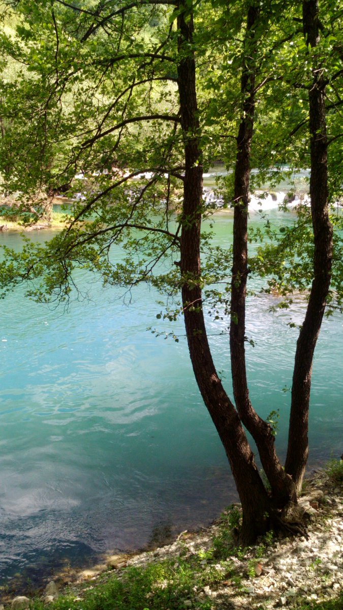 AidaMyTVLoveS's tweet photo. #BosniaAndHerzegovina #RiverUna #BosanskaKrupa #RestaurantMakaba https://t.co/3Fttu9IdUS