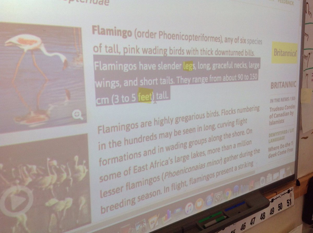 Cport_First's tweet image. #Ornithologists zoom-in to find Key Words and then zoom-out to find information. #FindingFacts #AndresClass