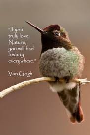 RockYourMidlife's tweet photo. If you truly love Nature, you will find beauty everywhere. —Van Gogh https://t.co/Li2141IYJR