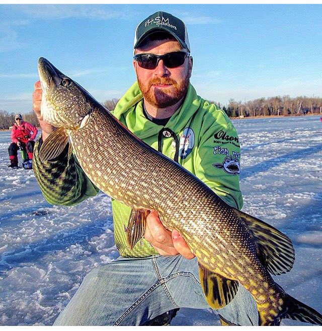 Jake from Fargo with his 35" pike. Makes for some good pickling right there