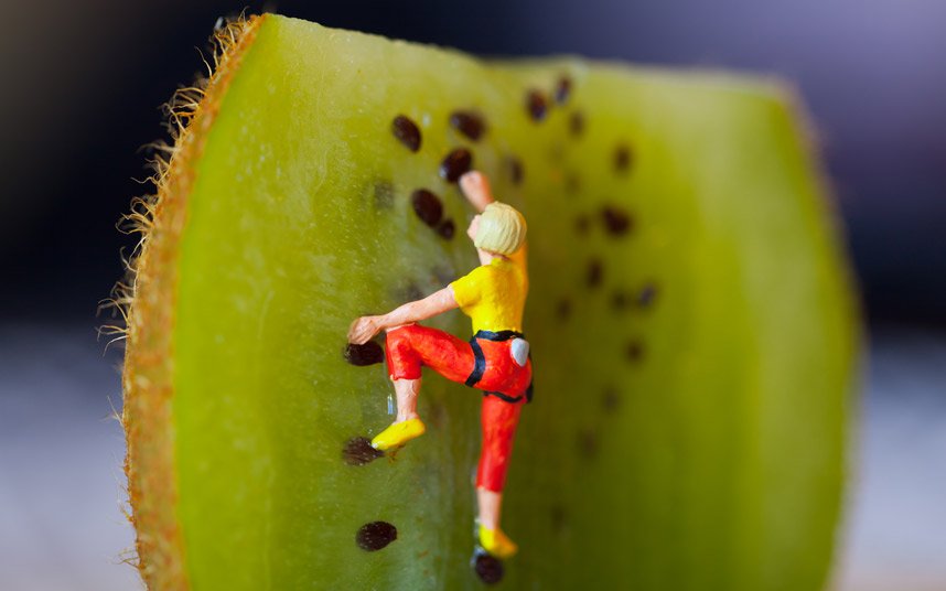 Macro masterpieces Artist David Gilliver creates a miniature world out