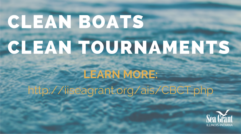 ILINSeaGrant's tweet image. #CleanBoats #CleanTournaments #CleanWaterWednesday
FMI: bit.ly/IISG_CBCT