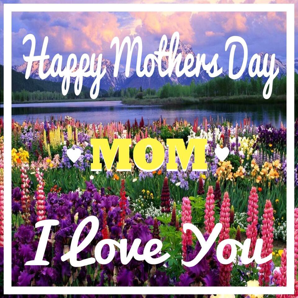 PikParkApp's tweet photo. Use PikPark to make this Mothers Day Special #mom #mum #mumknowsbest #mommyblogger #thankandloveualways #MothersDay https://t.co/7Vp3V4Rz8Q