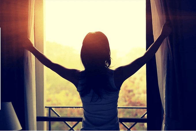 Odontology Coach tweet media