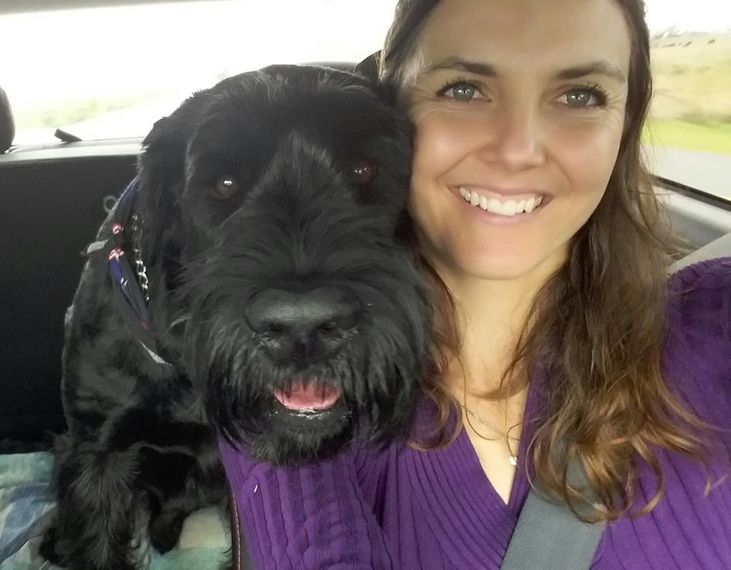 BasjanTheGiant's tweet photo. Whoo-hoo! The humans are taking me on my 1st holiday! #1stholiday #giantschnauzer #dogoftheday #roadtripadventure https://t.co/qp2Mubq6FO