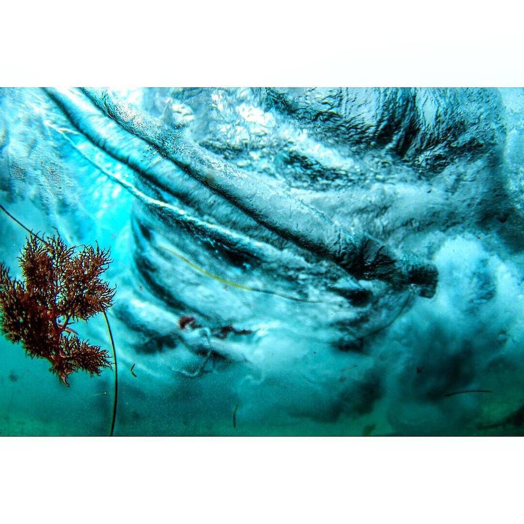 CaTurfPros's tweet photo. Underwater dance by the sea

#waveporn #teamcanon #oceanminded_arts #mysdphoto #aquagrams #catchingcalifornia #wate… https://t.co/8DXiuqDJHQ