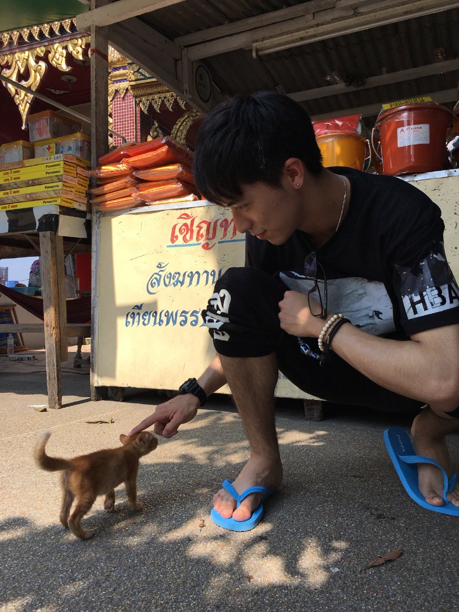 ohrono's tweet photo. 因为我很喜欢猫咪，所以对逗猫的男生毫无招架之力_(:з」∠)_ https://t.co/zJlsCuBg0z