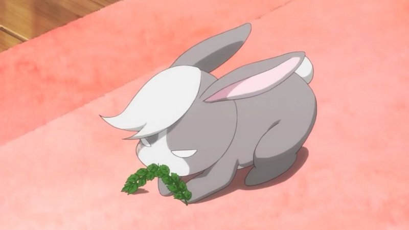 ট ইট র ごちうさで学ぶトキポナbot Soweli 可愛い動物 哺乳類 ですが ごちうさなので大体はうさぎのことです トキポナで生き物に関する単語は Akesi Kasi Kala Soweli Pipi Jan Waso だけであり それ以上は基本区別しません T Co