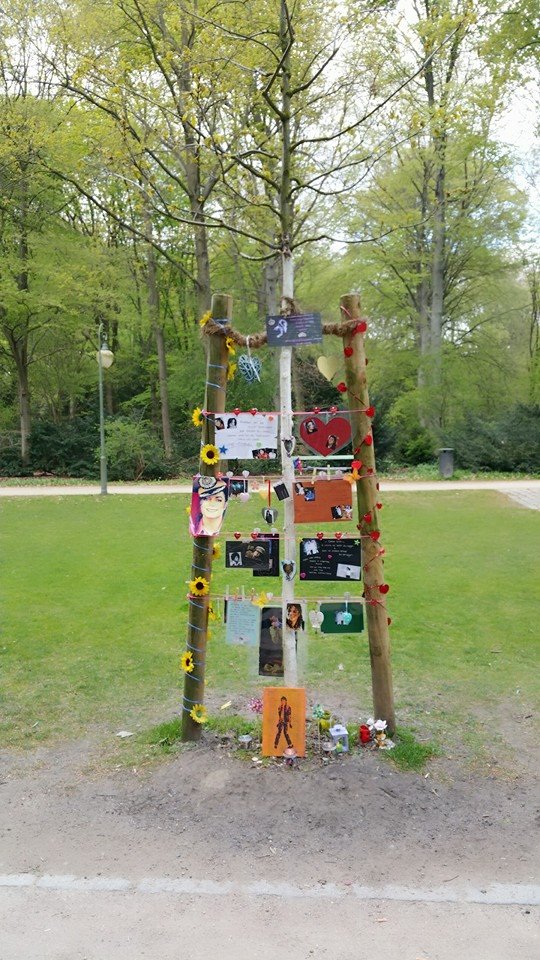 mjparties's tweet photo. Was für ein wunderbarer Ort. Wir haben unser Bäumchen besucht und es wieder michaelig erstrahlen lassen ♥ https://t.co/krmtT5ZfGF