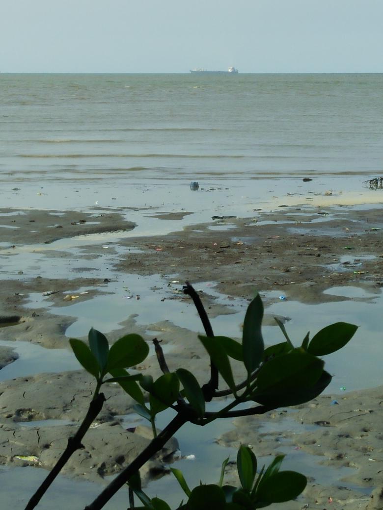 JJRizal's tweet photo. pa @jokowi kapal sedot pasir reklamasi sdh sedot pasir en bikin pantai dr karang antu s/d tanara banten ilang 700 m https://t.co/99I6vfobMl