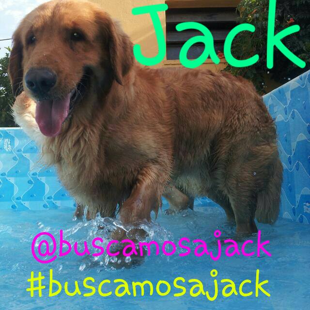 BUSCAMOSAJACK's tweet photo. #BuenMiercoles SIGAMOS COMPARTIENDO, QUE APAREZCA JACK!!! @BUSCAMOSAJACK https://t.co/CMcggi73Ju