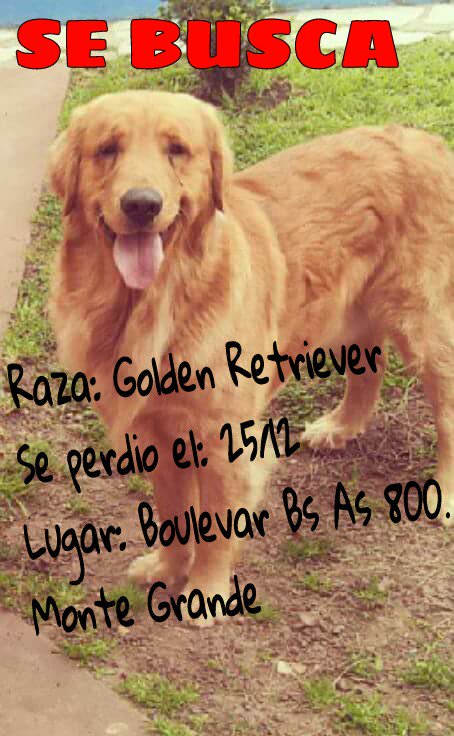 BUSCAMOSAJACK's tweet photo. #BuenMiercoles SIGAMOS COMPARTIENDO, QUE APAREZCA JACK!!! @BUSCAMOSAJACK https://t.co/CMcggi73Ju