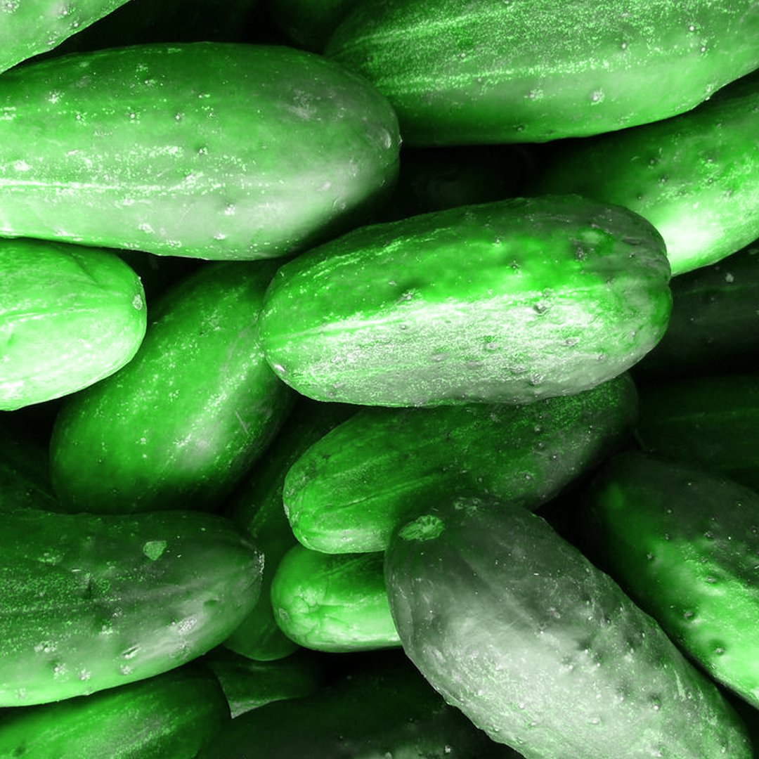 fitrixapp's tweet photo. Cucumbers give the body a healthier kidney/ bladder &amp; are high in antioxidants! https://t.co/AXDRBsuyYN #cucumbers https://t.co/0jxxtDzcIb