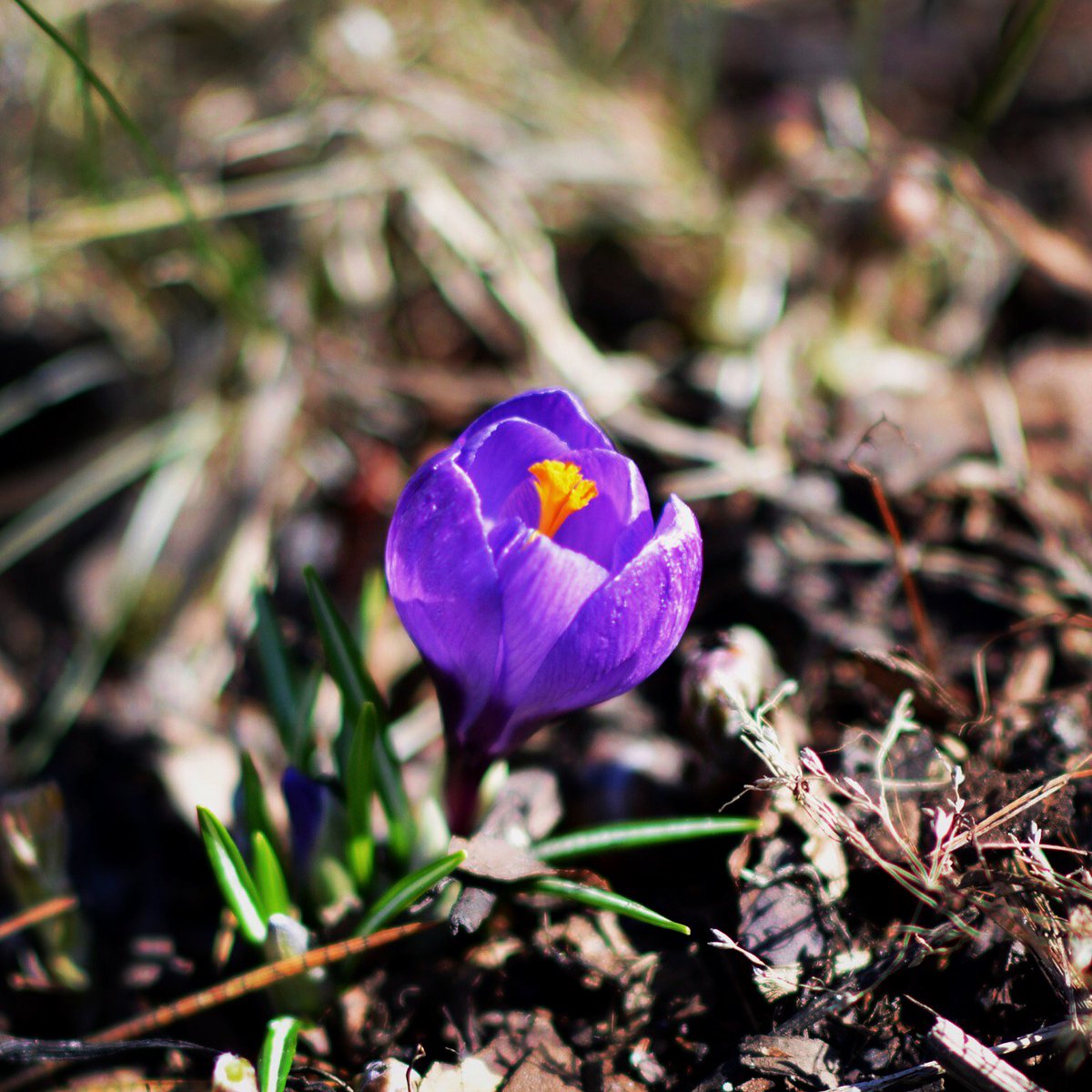 What would you entitle this photo by Jorma Siitonen? All alone?