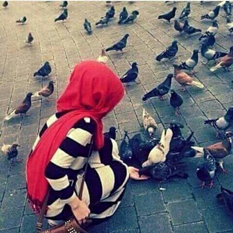 ندوشة الوكحة (@irag66775226) on Twitter photo 