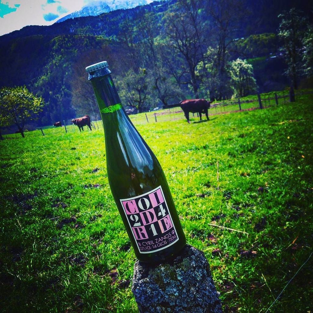 Cider with view... <a href="/cidre2table/">Cidre 2 Table</a> <a href="/goodbeertweet/">#goodbeer 🍻😎</a> #cidre #cider #apple #zangs #naturalcider #cyrilzangs #calvados #cid…