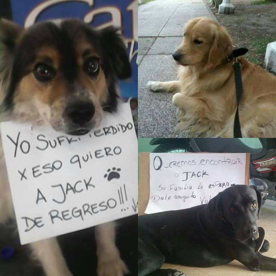 BUSCAMOSAJACK's tweet photo. SIGAMOS COMPARTIENDO, QUE APAREZCA JACK!!! @BUSCAMOSAJACK https://t.co/0oVw7jxuUm