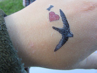 Mar_Swifts's tweet photo. Our 2015-16 Maritimes SwiftWatch newsletter is now available online, in English and French https://t.co/DYplB2iHlV https://t.co/G3kZDXoH0b